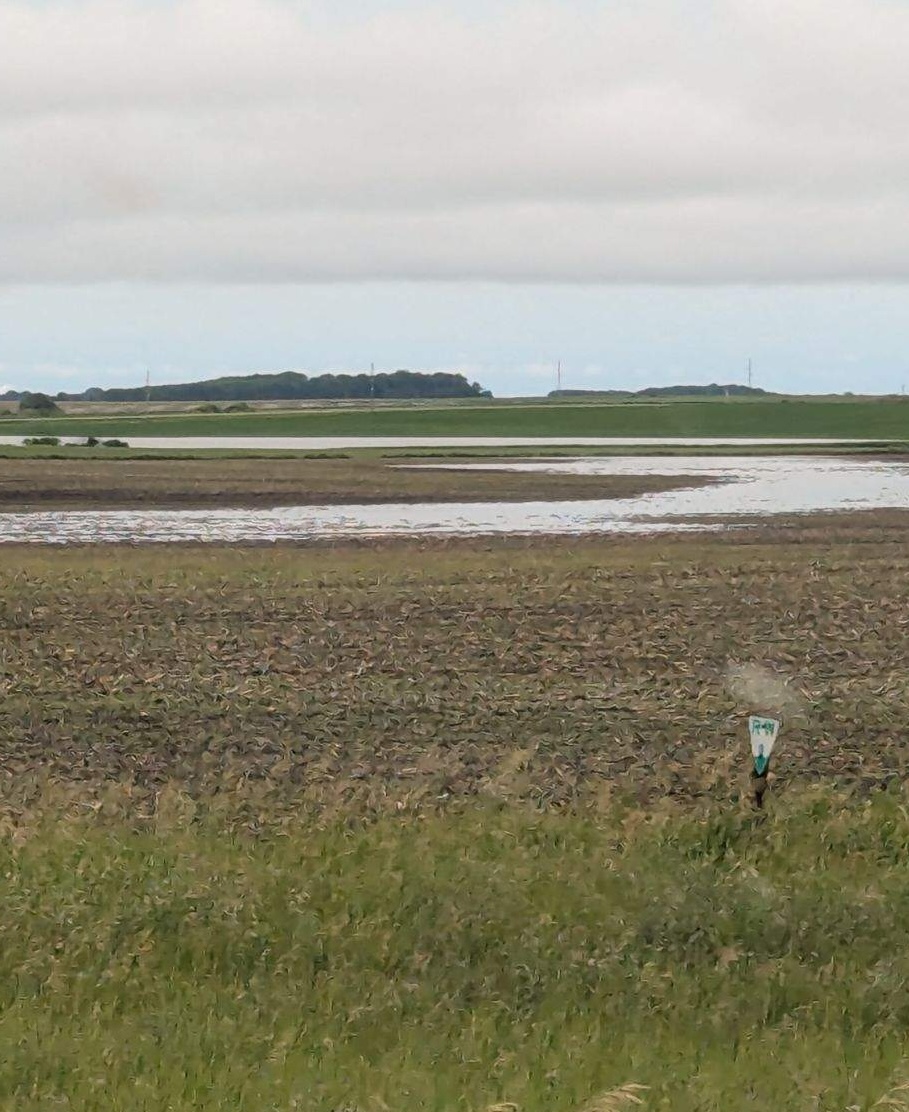 Photo of flood water receding in the distance.