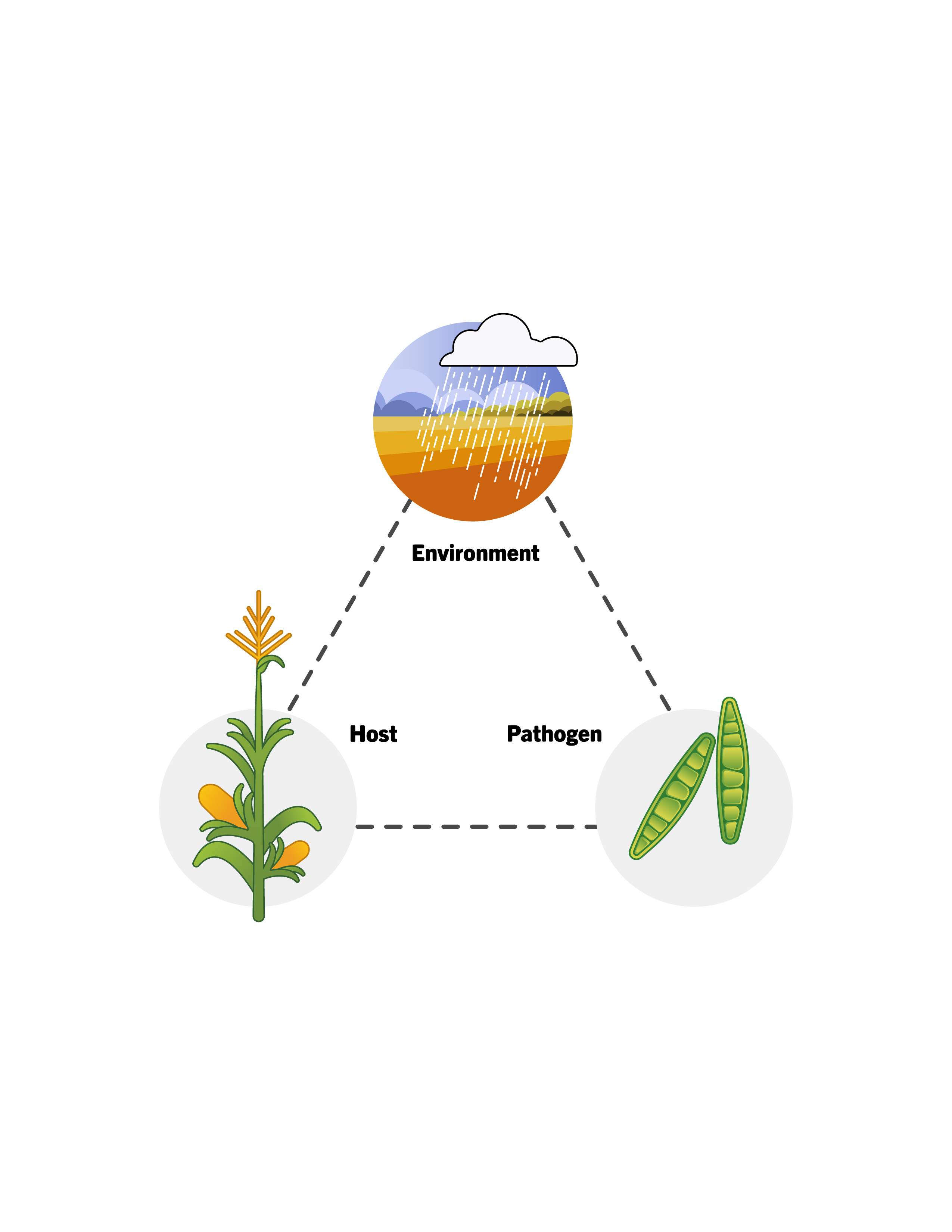 Biopesticides for Crop Disease Management