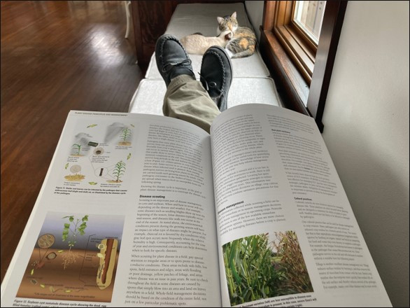 Armchair Scouting: Doing Your Homework Before Going to the Field