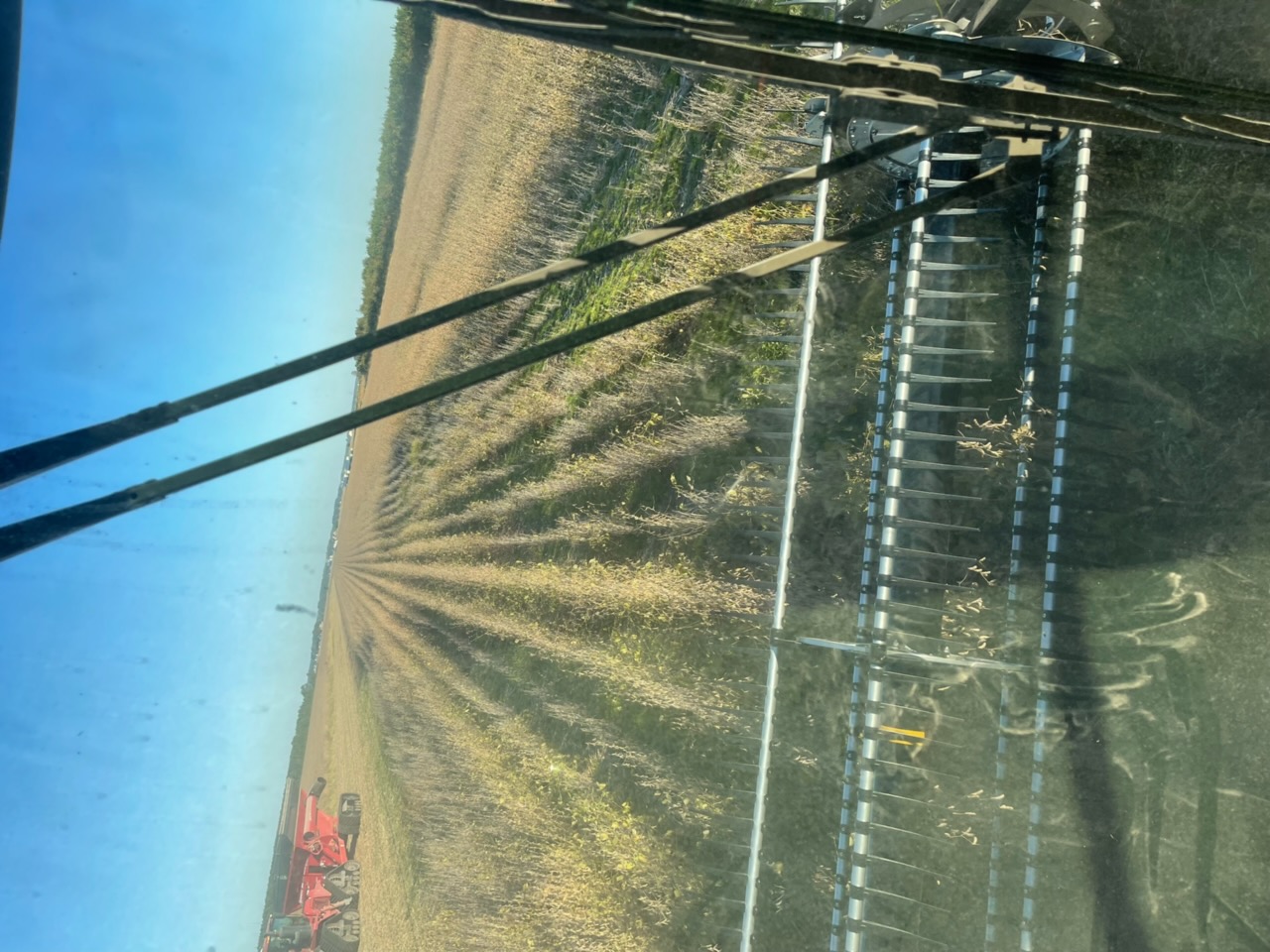 Photo from the cab of a combine harvesting a field afflicted by soybean stem canker.