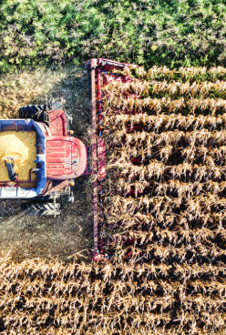 Mapping Cover Crop Biomass with Sensors