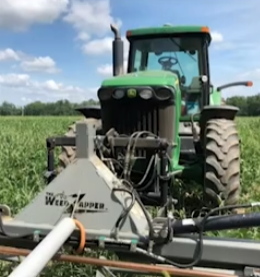 Electrocution as a Weed Control Tactic